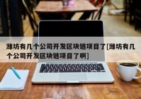 潍坊有几个公司开发区块链项目了[潍坊有几个公司开发区块链项目了啊]